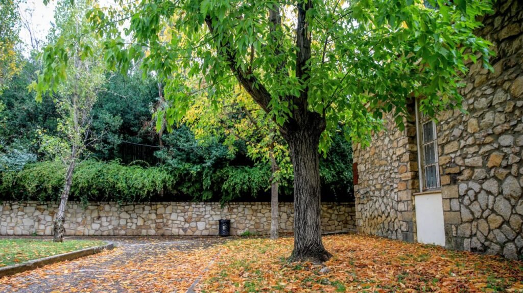 ΦΘΙΝΟΠΩΡΟ  (ΓΙΑΝΝΗΣ ΠΑΝΑΓΟΠΟΥΛΟΣ/EUROKINISSI)